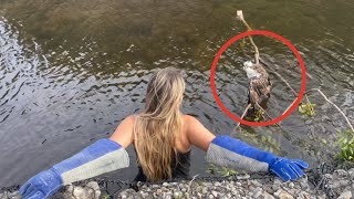 Rescuing A Federally Protected Bird With A Broken Wing!