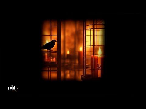 The Carbonfools - Bird in a Cage | Official Lyric Video