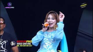 TERLENA EVA AQUILA THE VICH MUSIC  TOMAIL