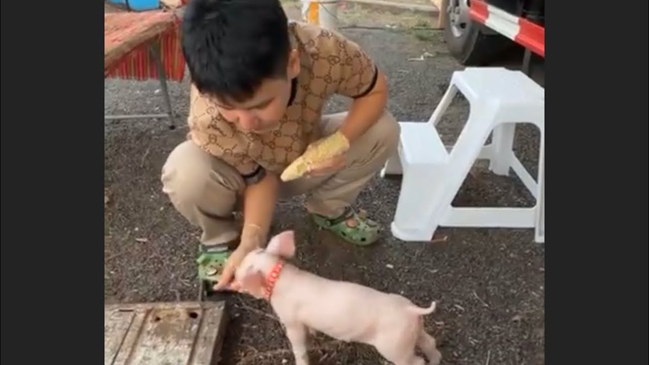 ตุ๊กติ๊กน้อยพาสาวตือไปฉีดยามาแล้ว วันนี้พาขึ้นเวทีด้วย