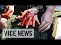 Inspecting the Ceasefire in Shyrokyne: Russian Roulette (Dispatch 105)