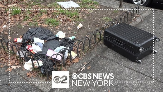 Advocates Lawmakers Blame Budget Cuts For Trash Pests At Nyc Parks