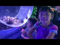 Wisata Edukasi | Zara Cute Mengenal Hewan Beracun di Jakarta Aquarium part 2 | Homeschooling