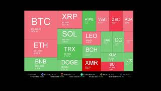 Live Coin Price Watch!