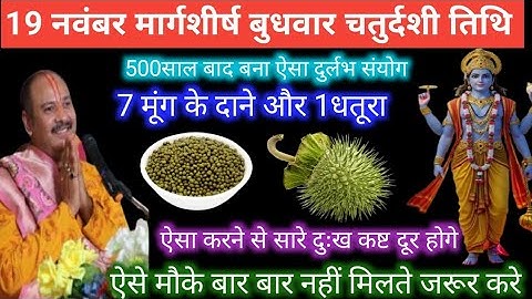 19 नवंबर मार्गशीर्ष बुधवार अमावस्या के दिन 1 धतूरा और 7 हरे मुंग वाला उपाय जरुर करें||pradeep mishra