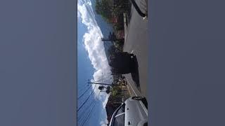 SAPI BALI BIG SIZE MENUJU PASAR BERINGKIT 2021