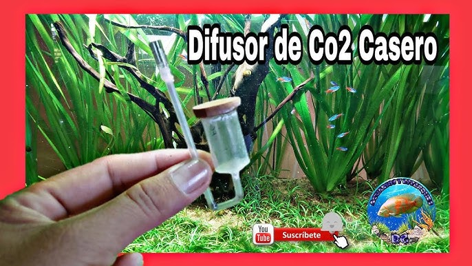 ▷ Difusor de CO2: ¿Cuál es el mejor? - Blog de Aquascaping