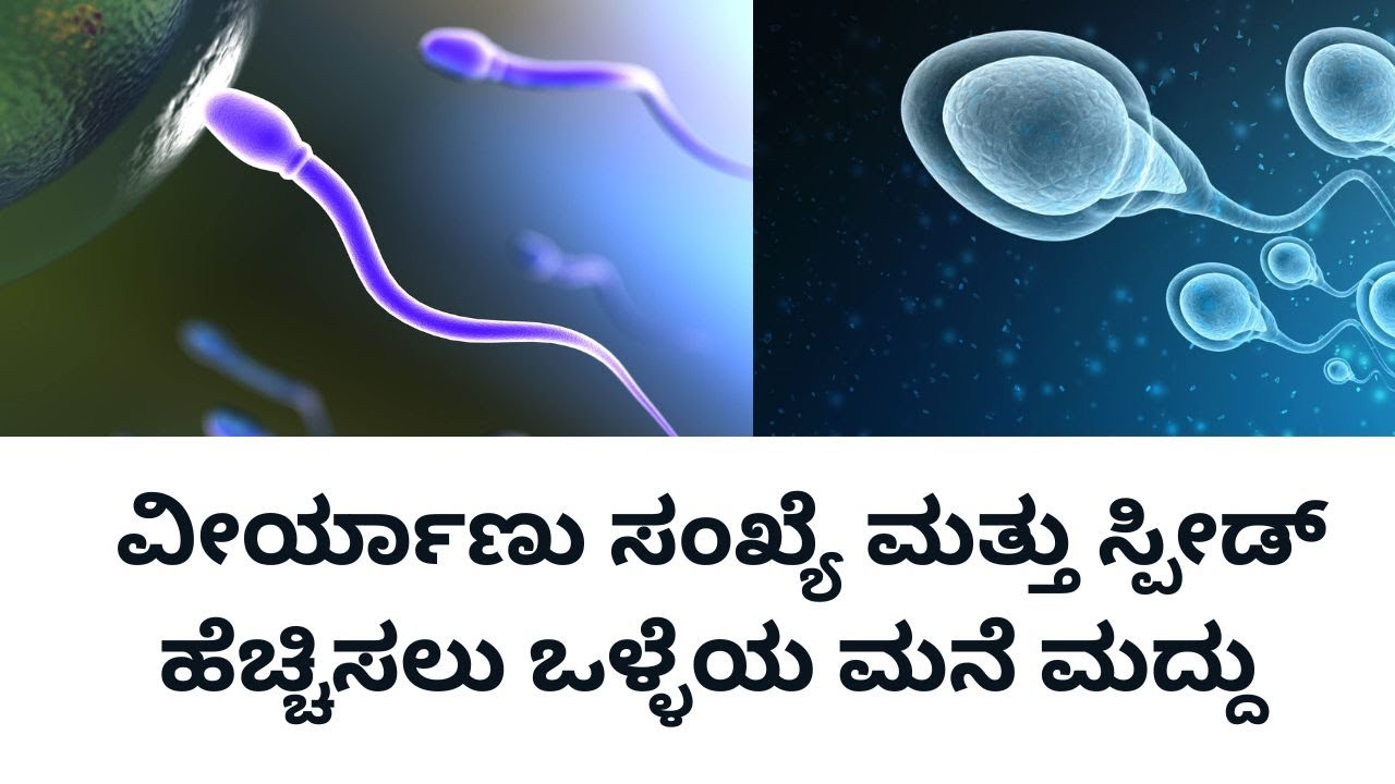 how-to-increase-the-sperm-count-and-motility-in-males-kannada