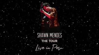 Download Lagu Bad Reputation- Shawn Mendes ( Live in Peru ) Download Lagu Bad Reputation- Shawn Mendes ( Live in Peru )