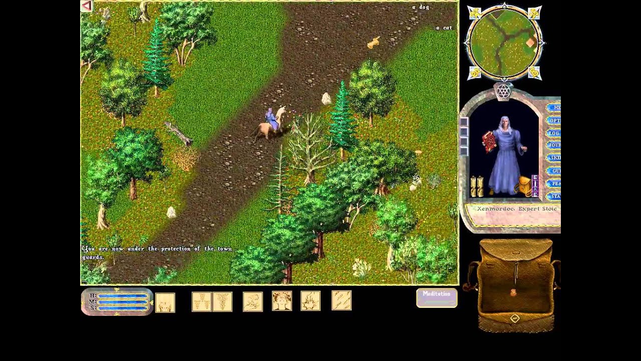 Ultima Online 011 Mage Buying Horse and Traveling to Despise YouTube