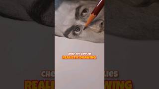 Realistic Drawing With Cheap Materials ??