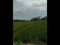#curhat #shortvideo #cewekcantik #storywa #story #motifasidiri #perjalananhidup