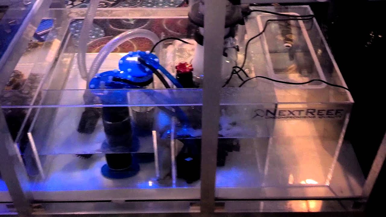 camera iphone 8 plus apk Short Video From MACNA2013