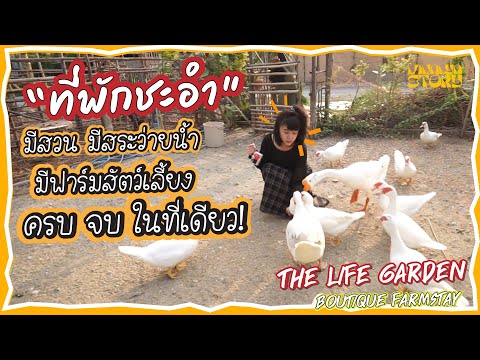 ที่พักชะอำ The Life Garden มีสระว่ายน้ำ สวน และฟาร์มสัตว์เลี้ยง ครบ จบ ในที่เดียว [LALINLYN STORY]