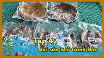Đôi Mắt Mê Kông | TẬP 42 | Hải sản khô Gành Hào