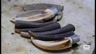 Tributo a la navaja - Variotinto - CMM