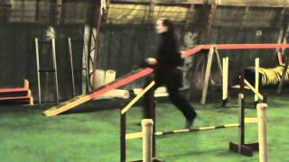 Varja running contacts, DEC'14, Straight exits and turns