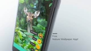 nature wallpaper hd android app screenshot 1