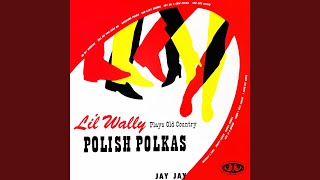 Mary What Do You Say Polka