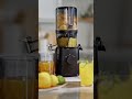 Cold Press Juicer – Self Feeding for Hands-Free Operation