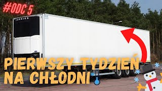 KIEROWCA CIĘŻARÓWKI | Pierwsze kroki na CHŁODNI #1 (nowa firma) 4K