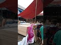 semangat pejuang rupiah #erwynputrivlog #shorts