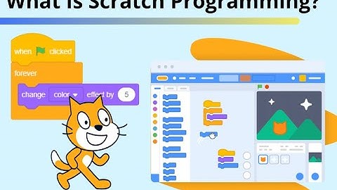 INTRODUCTION TO SCRATCH PROGRAMMING ||Beginners Guide To Scratch (VERY Simple)