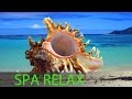 6 Hour Best Relaxing Spa Music, Background Music, Soothing Music, Massage Music ☯357