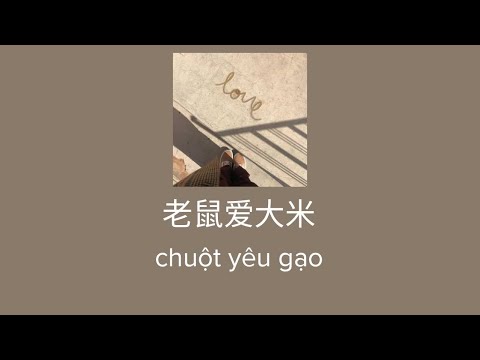 Video vietsub |老鼠爱大米 - 七元 | chuột yêu gạo - Thất Nguyên |... - youtube