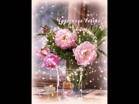 Хорошего вечера! Моим друзьям! #shorts