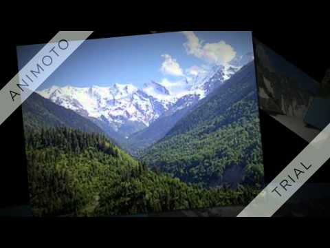 რაჭის კავკასიონი