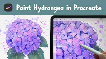 Learn to Paint Hydrangeas in Procreate 🎨  Watercolor Procreate Tutorial