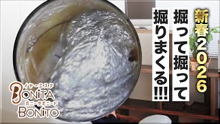 #耳掃除 新春2026 掘って掘って掘りまくる!!!