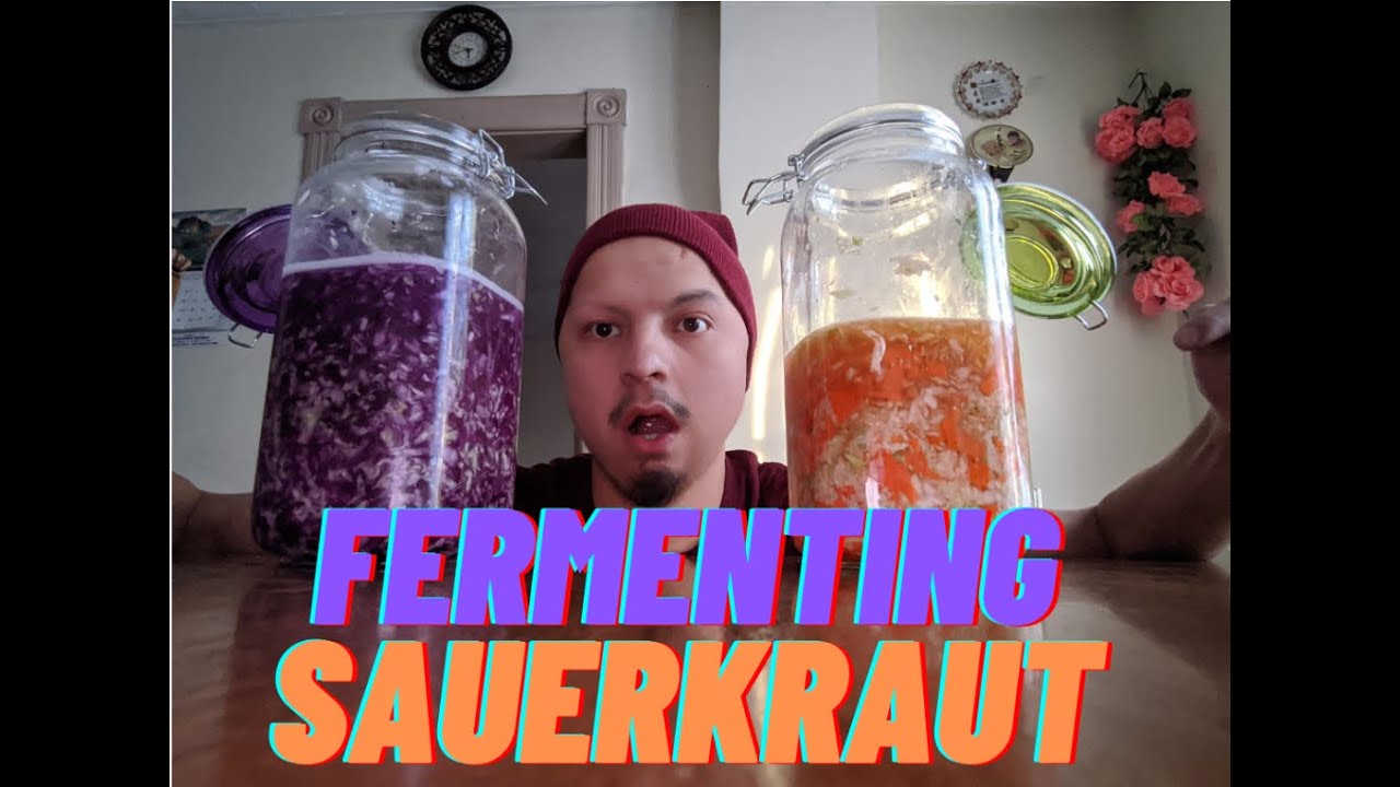 Fermenting Sauerkraut YouTube