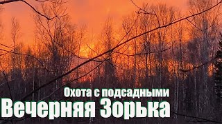 ВЕСЕННЯЯ ОХОТА 2024 НА УТКУ С ПОДСАДНЫМИ, ДИКАЯ ПРИРОДА, МАЛИНОВЫЙ ЗАКАТ, РЕЛАКС, АТМОСФЕРА.