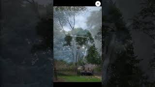 Patriot Tree Corp | Tree Service, Removal & Stump Grinding in Bremen, Plymouth, Nappanee, Bourbon