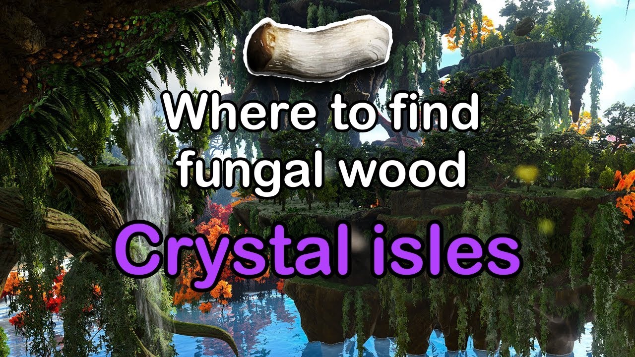 Where to find fungal wood in crystal isles YouTube