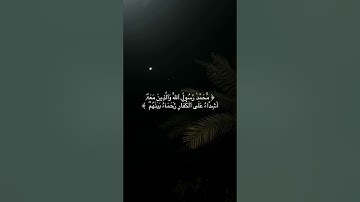 سورة الفتح | محمد رسول الله والذين آمنوا معه | محمد عبدالعزيز حصان