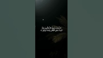 سورة الفتح | محمد رسول الله والذين آمنوا معه | محمد عبدالعزيز حصان