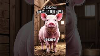 4월 3일 오늘의 띠별 운세_돼지띠 #shorts