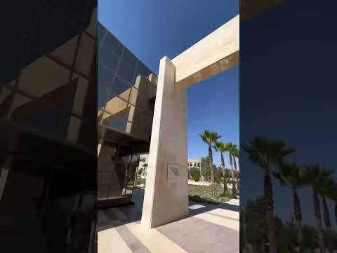 جامعه الزيتونه