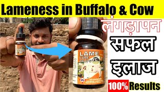 Lameness in Animal Treatment | पशुओं का अकड़ना लंगड़ेपन का इलाज॥का हॉमीपैथ इलाज Lame cure drop दवाई