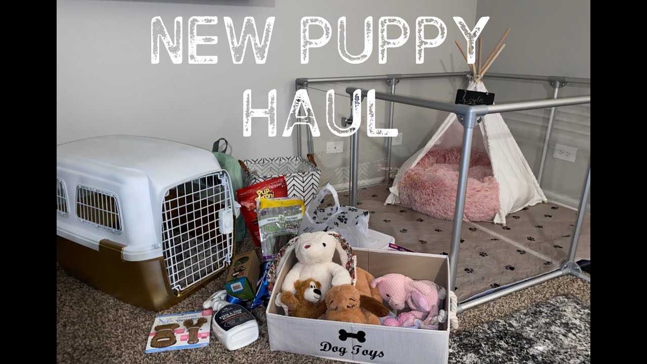 New Puppy Haul #puppy #aesthetic #haul #cute #newdog #newpuppy #dog  #australianshepard #happy #preppy #vibes #inspo
