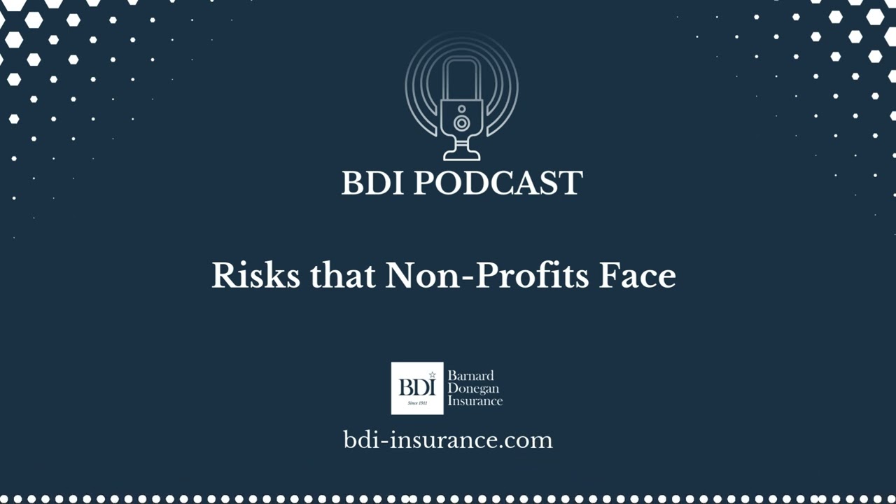 BDI Podcast: Risks that Non Profits Face