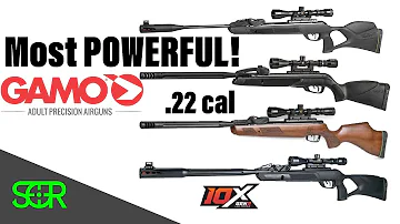 ULTIMATE Gamo Swarm POWER TEST! Gamo Swarm Magnum, Swarm Maxxim, Bone Collector and Swarm Fusion!