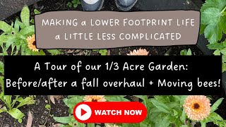 A Tour of our 1/3 Acre Garden: Before/after a fall overhaul + Moving bees! by The Whole Home 651 views 7 months ago 6 minutes, 27 seconds