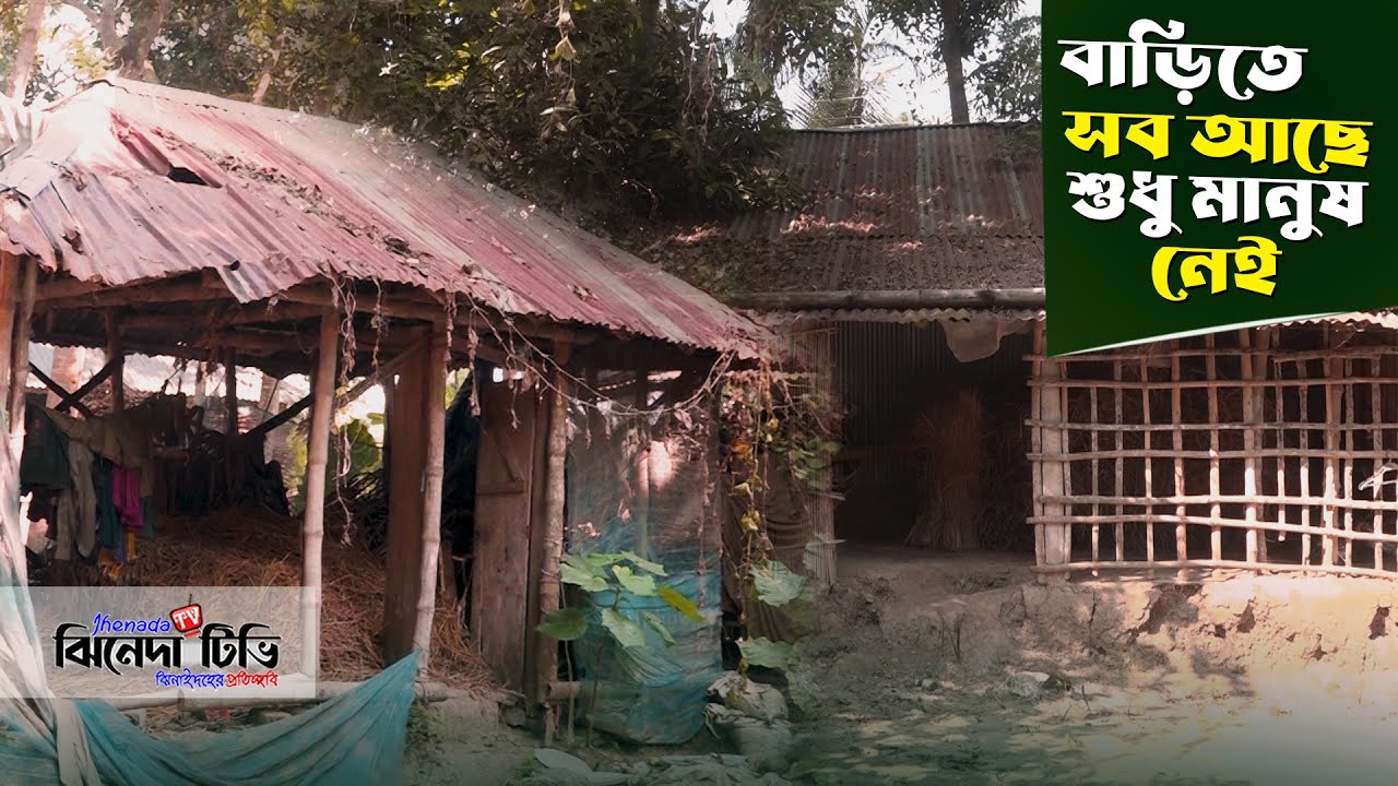 সাপের কামড়ে বংশ নির্বংশ, কোথাও কেউ নেই