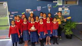 Māori Language Moment compilation 2020