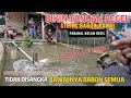 mancing bawal siang hari dikolam borongan dengan umpan ini jaminan strike babon terus, buruan dicoba