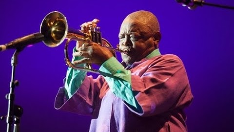 Hugh Masekela - Part of a Whole